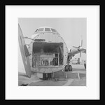 Loading cattle at Ronaldsway Airport by Manx Press Pictures