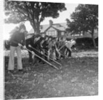 Douglas High School garden nursery by Manx Press Pictures