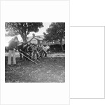 Douglas High School garden nursery by Manx Press Pictures