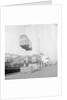 New buses arrive off boat, Douglas Harbour by Manx Press Pictures