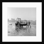 Dolphin rescue, Derbyhaven by Manx Press Pictures