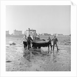 Dolphin rescue, Derbyhaven by Manx Press Pictures