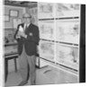Birds in aviary, Onchan by Manx Press Pictures