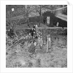 Tree planting, Manx Museum, Douglas by Manx Press Pictures