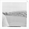 Men's running race, Douglas Promenade by Manx Press Pictures