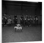 Horse of Year Presentation, Isle of Man by Manx Press Pictures