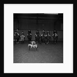 Horse of Year Presentation, Isle of Man by Manx Press Pictures