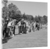 Manx Games at Bowl by Manx Press Pictures