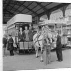 Horse tram centenary celebrations by Manx Press Pictures