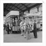 Horse tram centenary celebrations by Manx Press Pictures