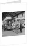 Horse tram centenary celebrations by Manx Press Pictures