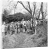 Kewaigue tree planting by Manx Press Pictures