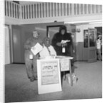 'Monkeys at Shoprite' by Manx Press Pictures