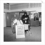 'Monkeys at Shoprite' by Manx Press Pictures