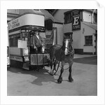 Jack Dugdale, horse tram driver by Manx Press Pictures