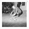 Andreas Root Show by Manx Press Pictures