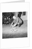Andreas Root Show by Manx Press Pictures