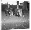 Police dogs at Peel by Manx Press Pictures