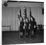 Royal British Legion Standard Completion, Villiers, Douglas by Manx Press Pictures
