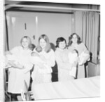 Christmas babies, Jane Crookall, Douglas by Manx Press Pictures