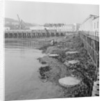 Work started on Ro-Ro Scheme, Douglas Bay by Manx Press Pictures