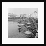 Work started on Ro-Ro Scheme, Douglas Bay by Manx Press Pictures