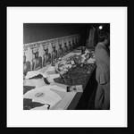 Millennium Exhibition, Palace by Manx Press Pictures