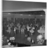 Dance Festival, Villa Marina by Manx Press Pictures