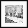 Laxey Root Show, Glen Gardens by Manx Press Pictures