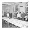 Laxey Root Show, Glen Gardens by Manx Press Pictures
