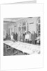 Laxey Root Show, Glen Gardens by Manx Press Pictures