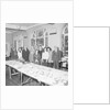 Laxey Root Show, Glen Gardens by Manx Press Pictures