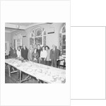 Laxey Root Show, Glen Gardens by Manx Press Pictures