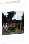 Mooragh Park by Manx Press Pictures