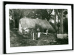 Cottage, Ballaglass Glen by George Bellett Cowen