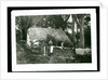 Cottage, Ballaglass Glen by George Bellett Cowen