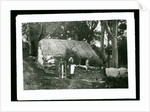 Cottage, Ballaglass Glen by George Bellett Cowen