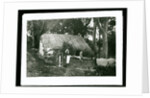 Cottage, Ballaglass Glen by George Bellett Cowen