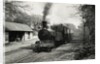 Engine No.12 Hutchinson Locomotive at Ballasalla Station to Port Erin by Unknown
