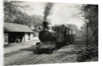 Engine No.12 Hutchinson Locomotive at Ballasalla Station to Port Erin by Unknown