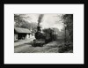 Engine No.12 Hutchinson Locomotive at Ballasalla Station to Port Erin by Unknown