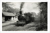 Engine No.12 Hutchinson Locomotive at Ballasalla Station to Port Erin by Unknown