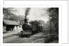 Engine No.12 Hutchinson Locomotive at Ballasalla Station to Port Erin by Unknown