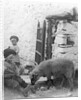 Pet Lamb at Fistard by Archibald Knox