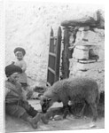 Pet Lamb at Fistard by Archibald Knox