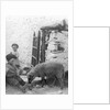 Pet Lamb at Fistard by Archibald Knox