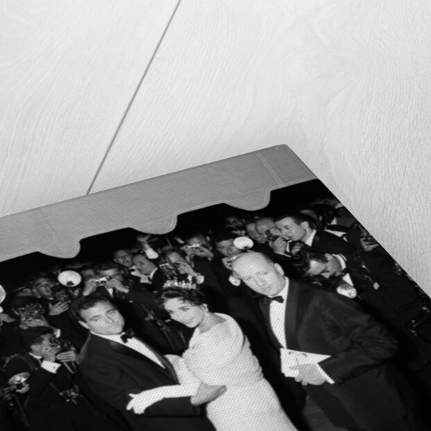 Elizabeth Taylor by Malcolm McNeill