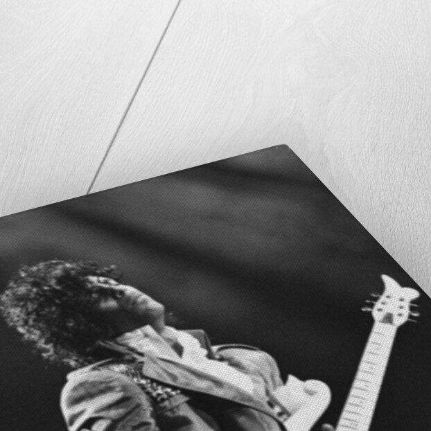 Prince Pop Star by Mike Maloney