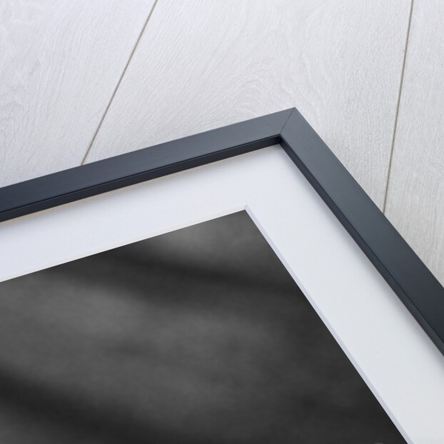 Prince Pop Star by Mike Maloney