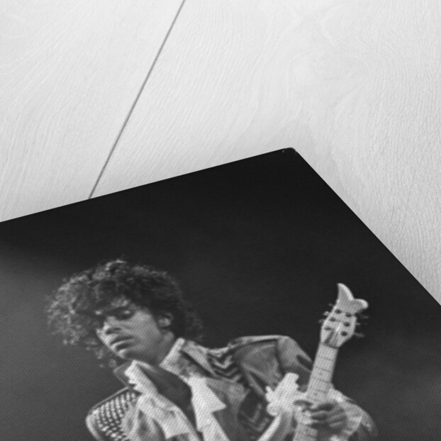 Prince Pop Star by Mike Maloney